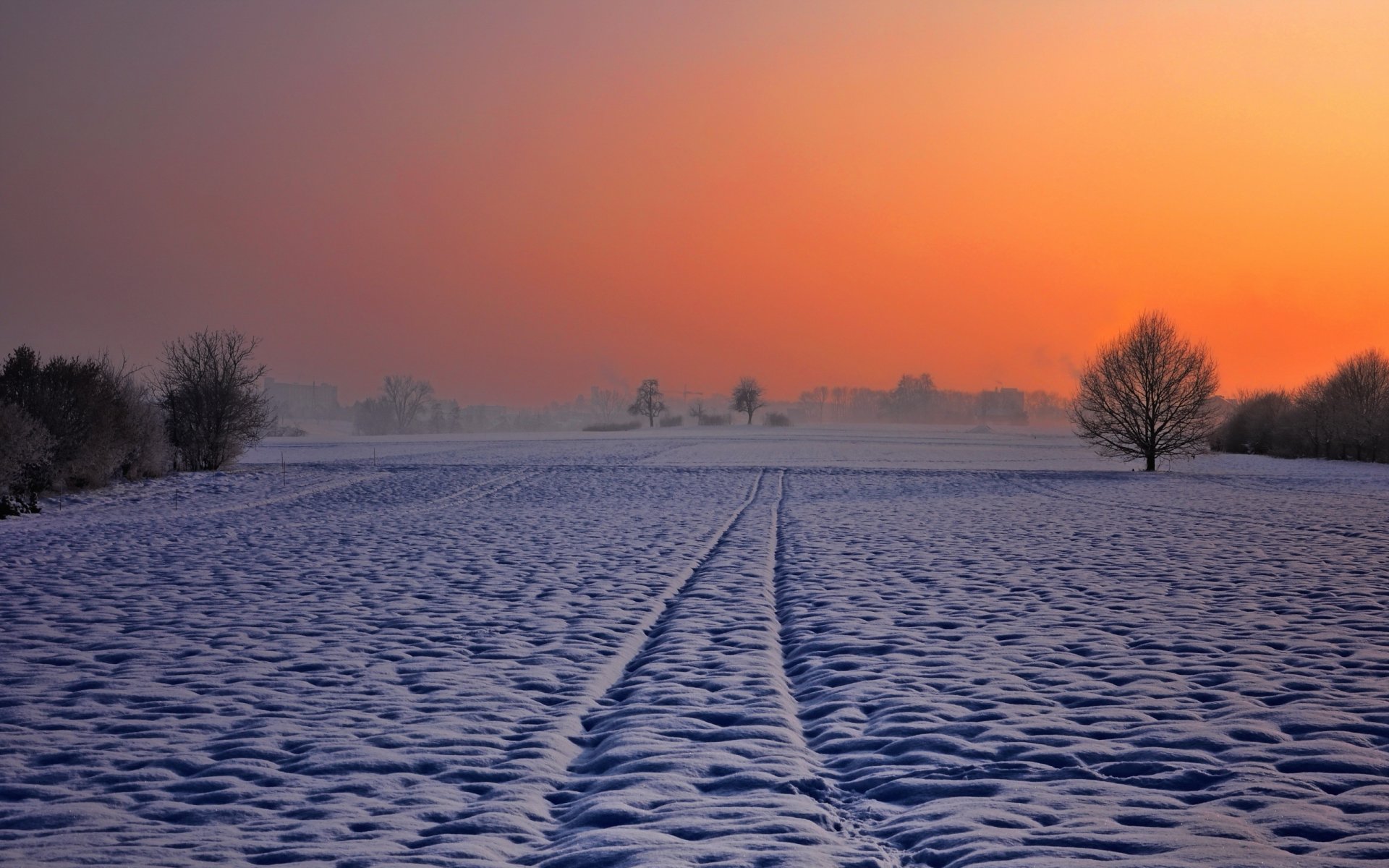 notte campo inverno