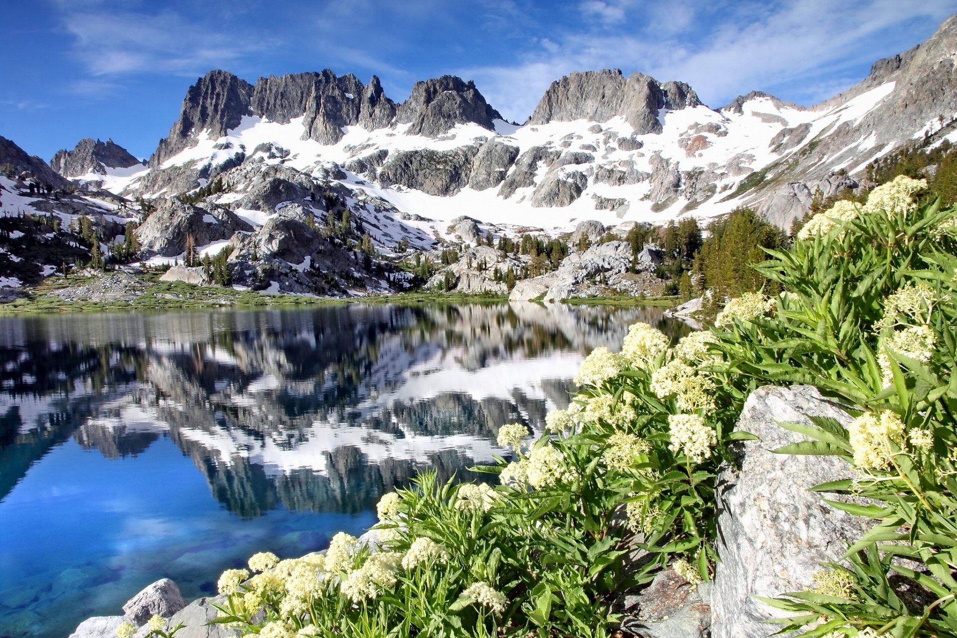 ediza lago ansel adams wilderness california minareti lago montagna riflessione fiori