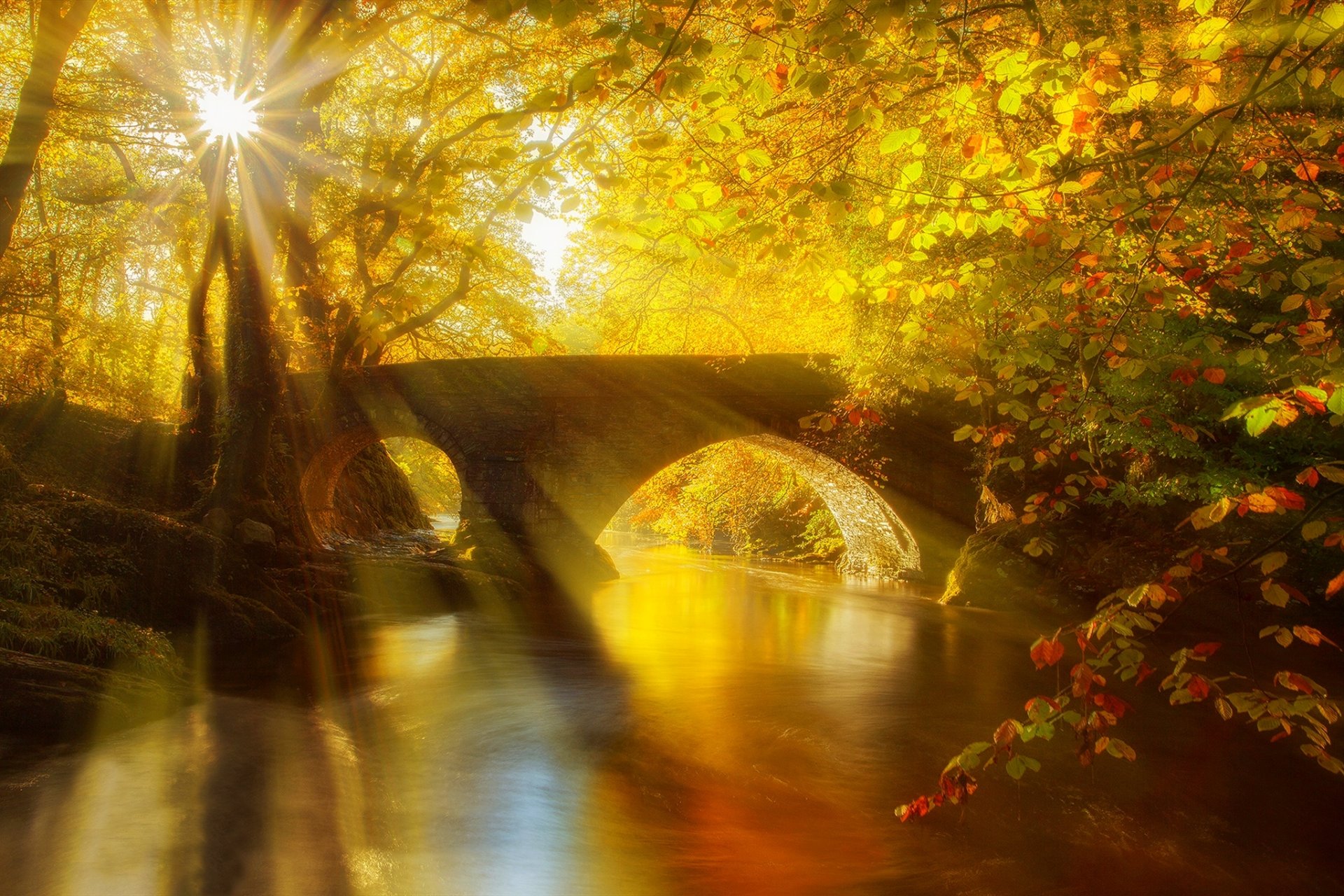 blätter park gasse bäume wald herbst zu fuß hdr natur fluss wasser ansicht tropfen brücke reflexion ansicht