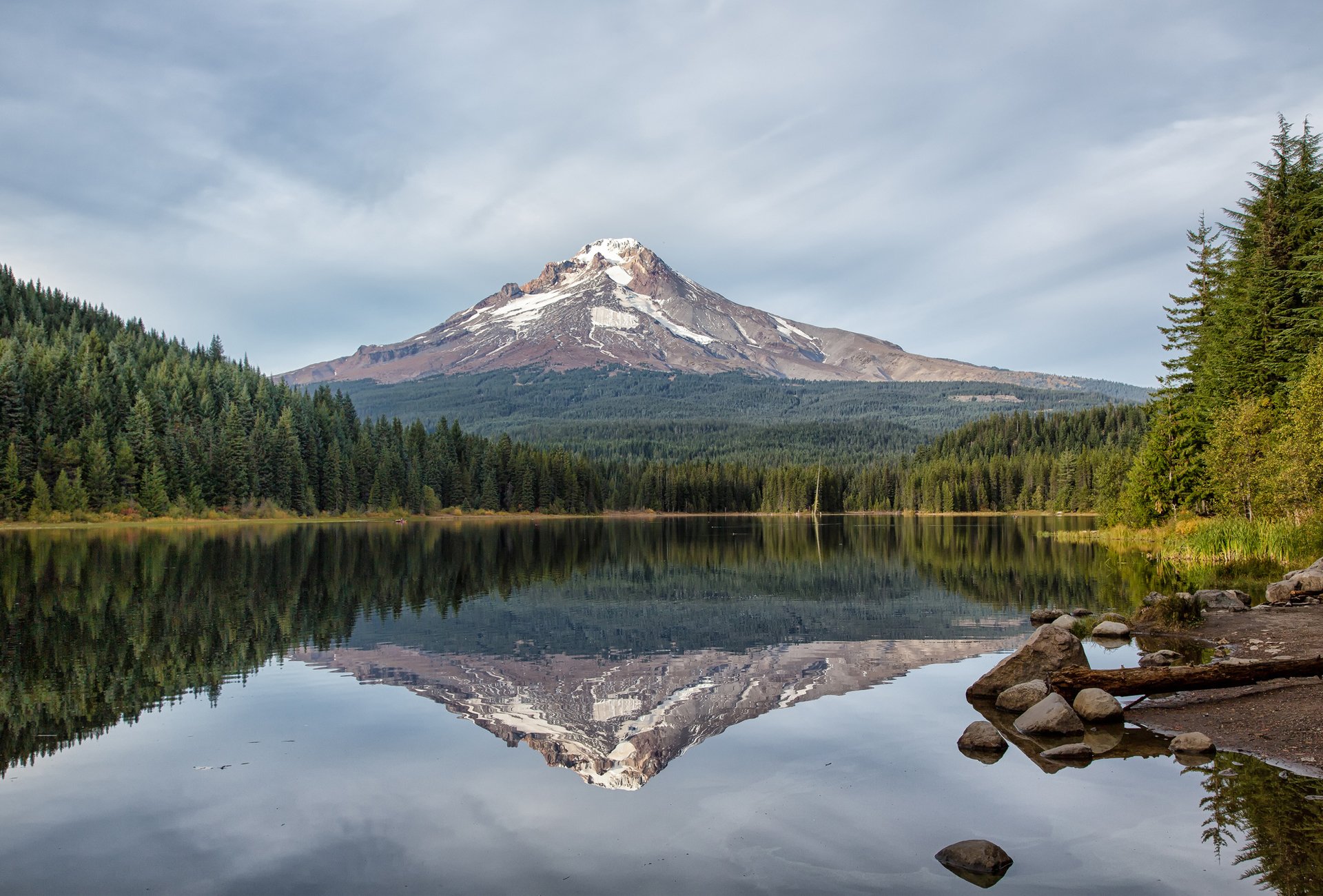 jezioro góra odbicie las świerk iglaki natura trillium jezioro oregon