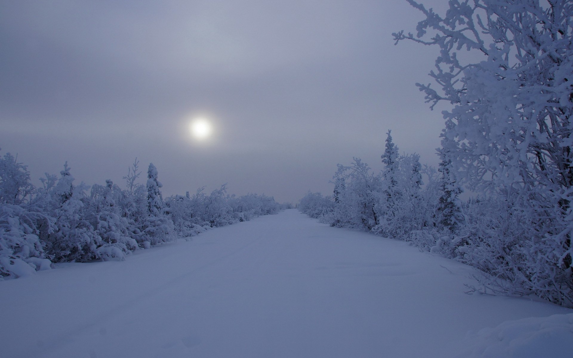 night winter snow landscape