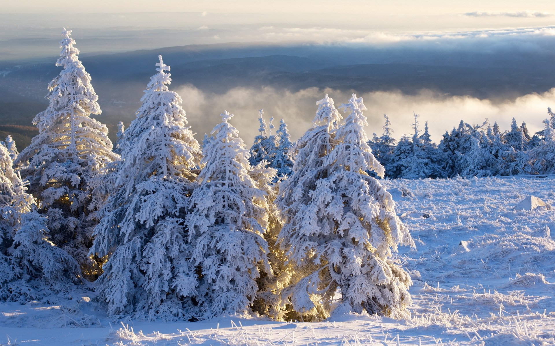 brocken schnee thannet hiver wolken morgen