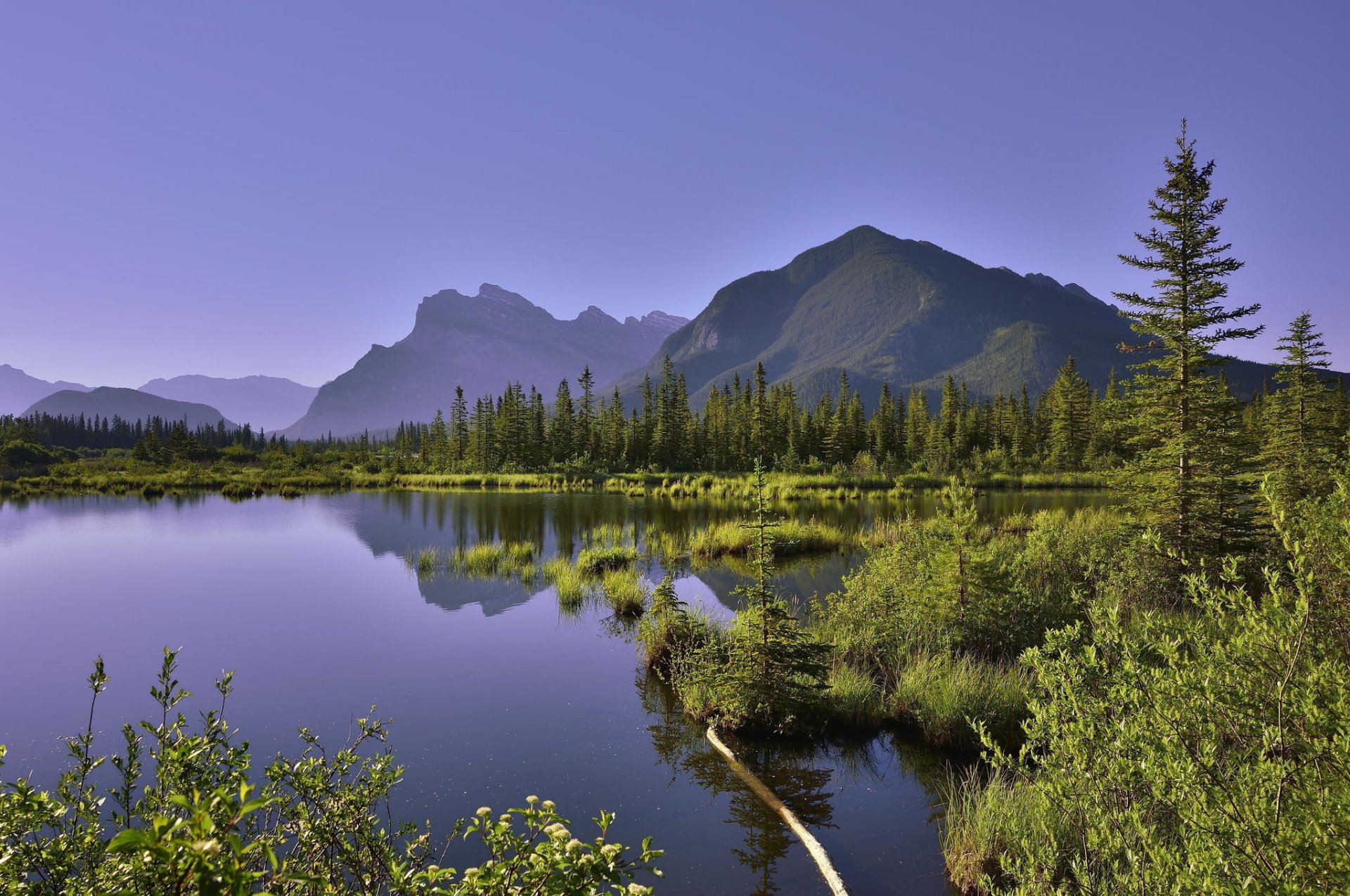 paysage lac montagnes arbres nature