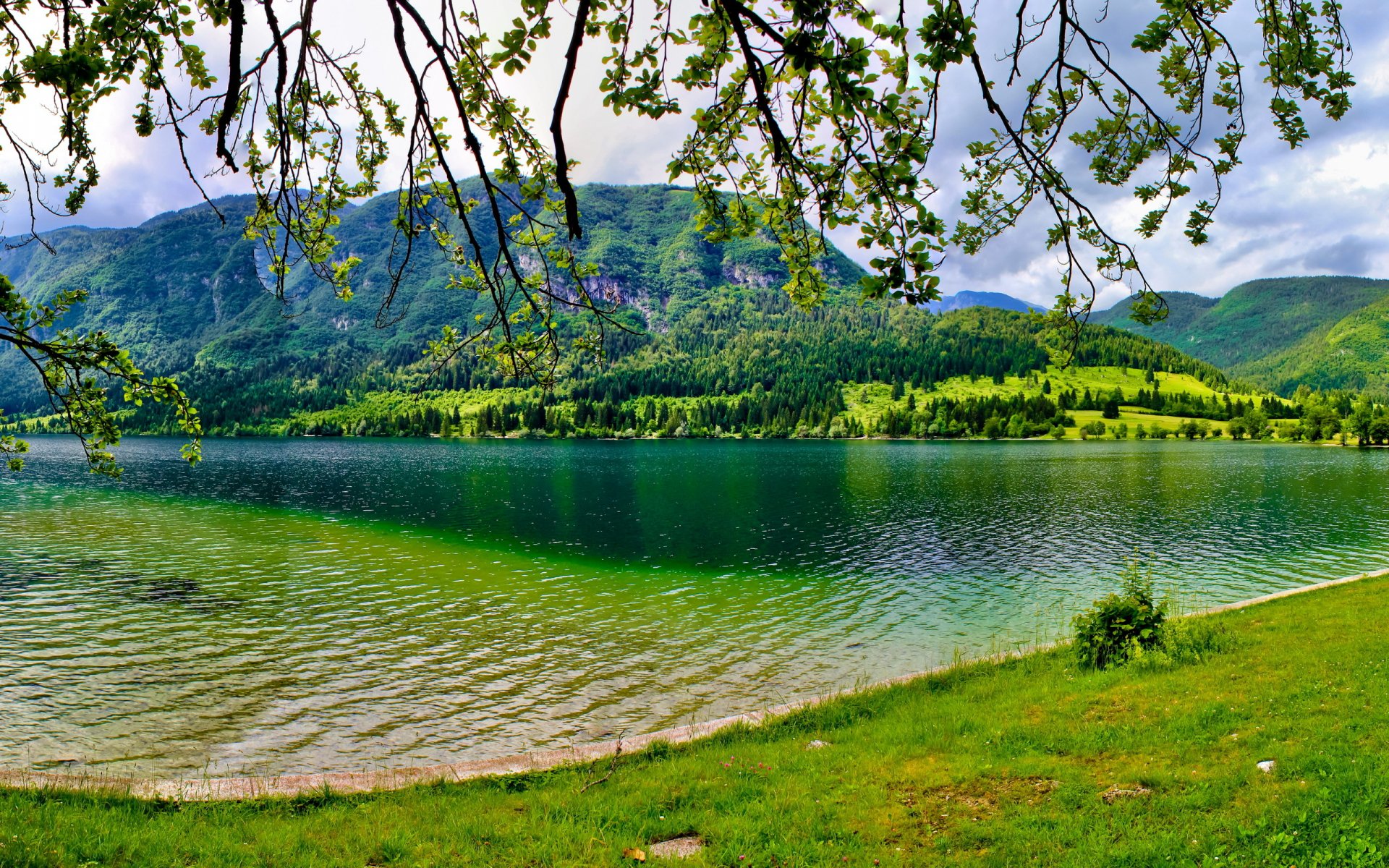 slowenien bohinj see sommer grün berg bäume