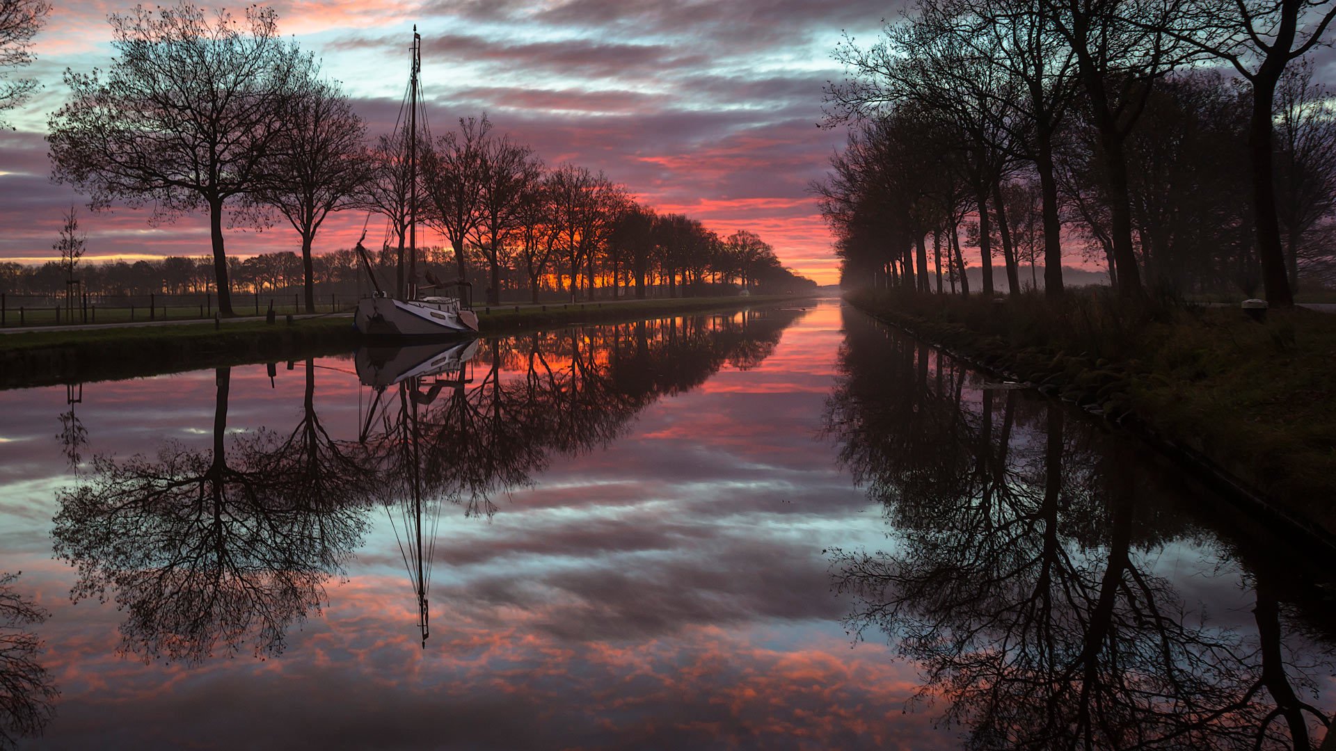 friesland landschaft natur