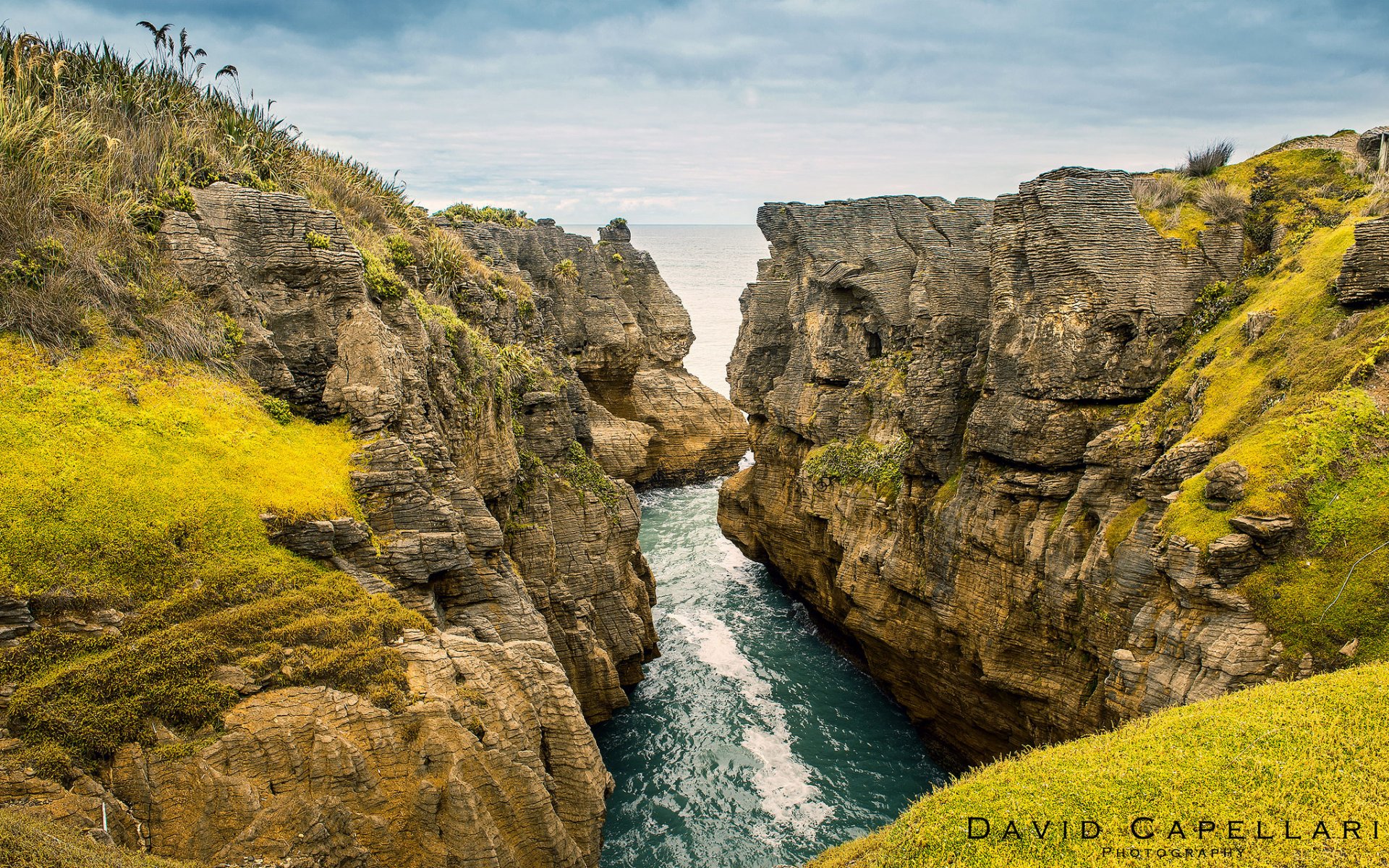 nowa zelandia klify krajobraz ocean rzeka natura david capellari