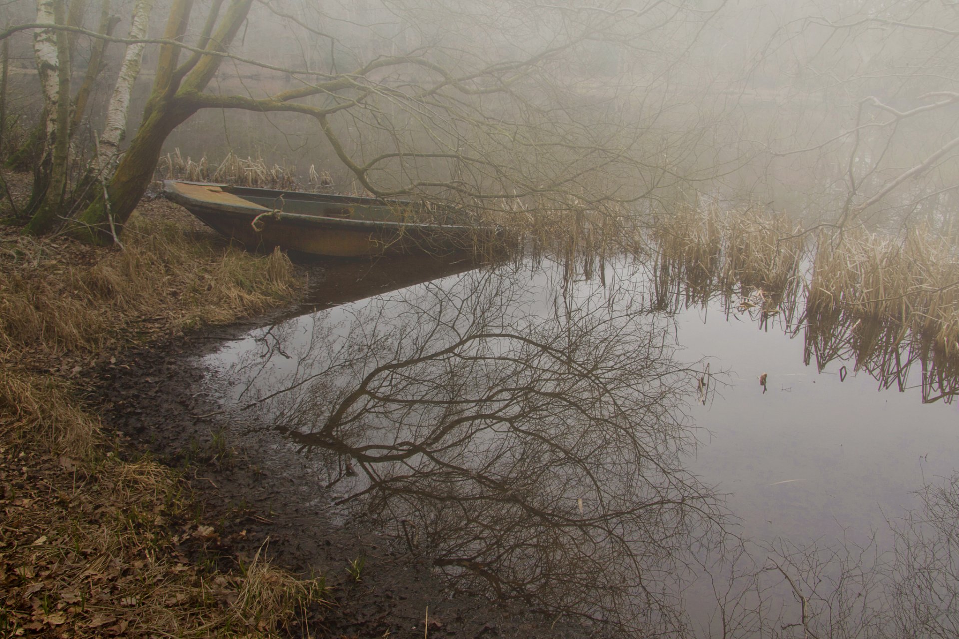 forêt automne brouillard lac bateau