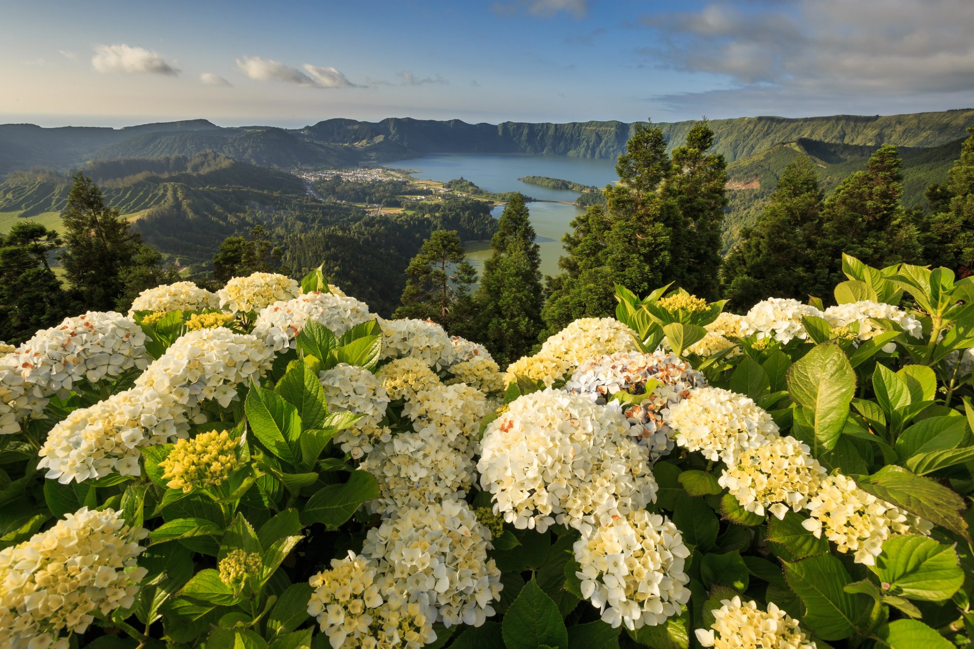 laguna siedmiu miast mosteiros ponta delgada azory portugalia mosteiros hortensje góry kwiaty