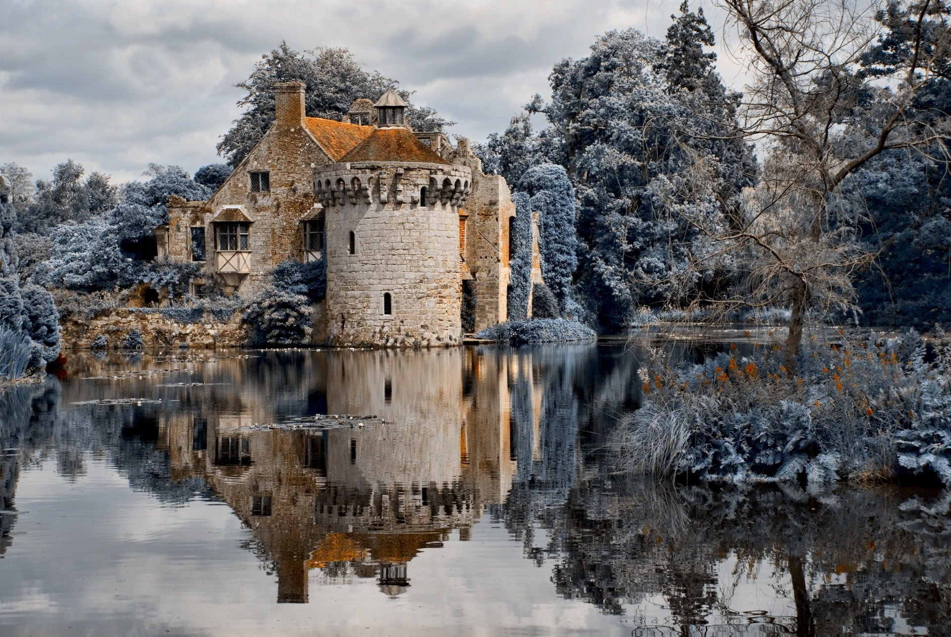 forêt château rivière arbres ciel eau nuages