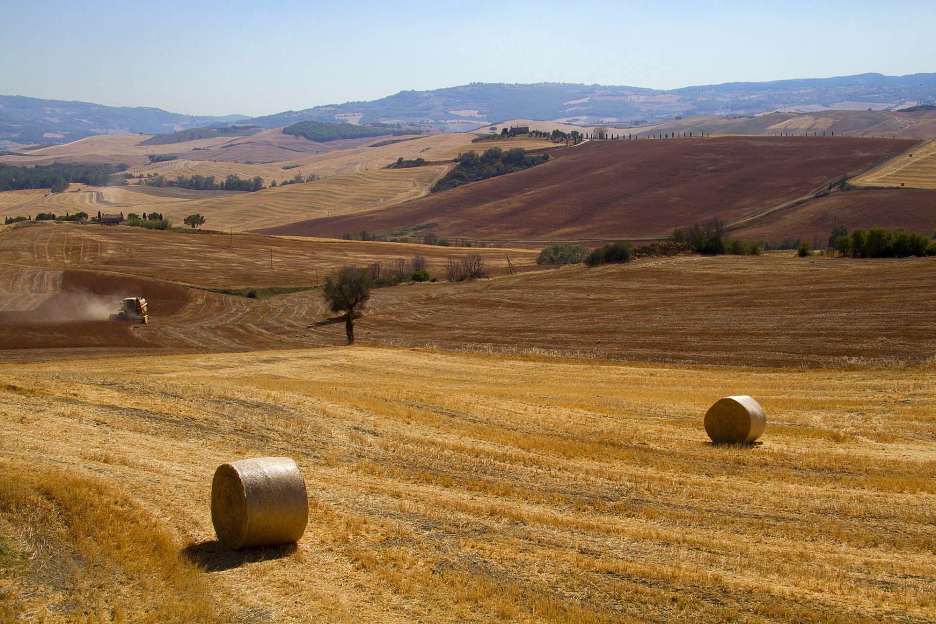 italien toskana herbst felder reinigung rollen