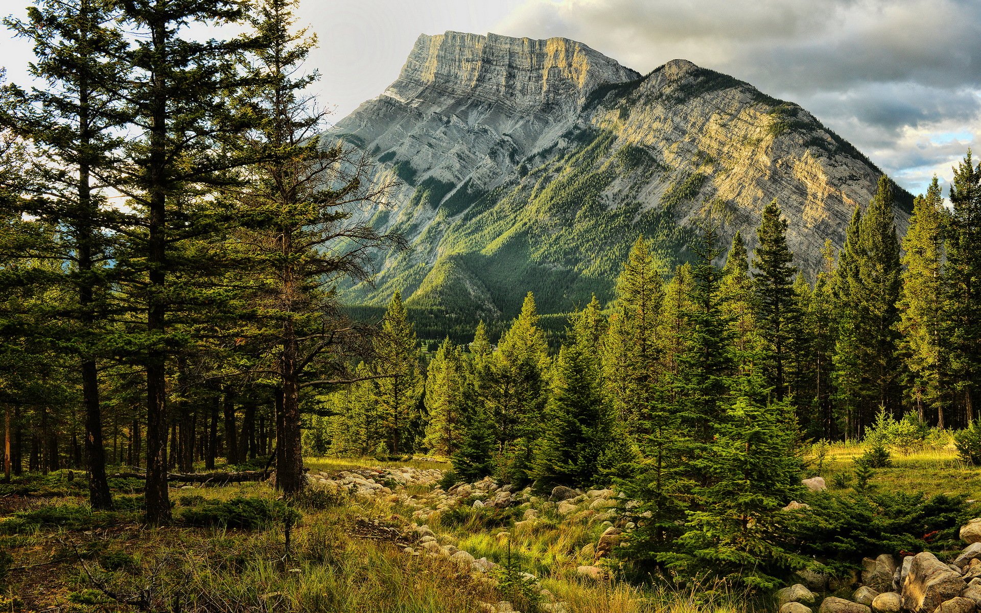 parco nazionale di banff monte rundle early light alberta canada