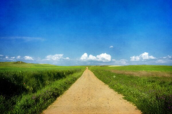 El camino va a lo largo de los campos verdes