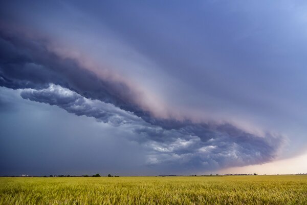 Paisaje de cielo y campo de verano