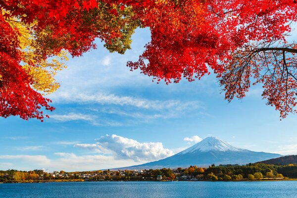 Fujiyama an einem klaren Tag, Zweige mit Herbstblättern