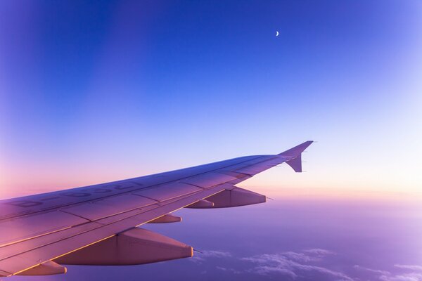 Fliegen im Morgengrauen rosa Himmel