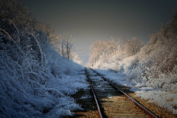 Landscape of the beginning of autumn frost