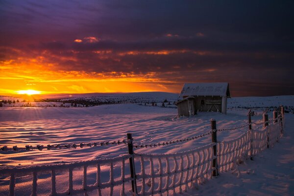 Frosty dawn in the snowy steppe