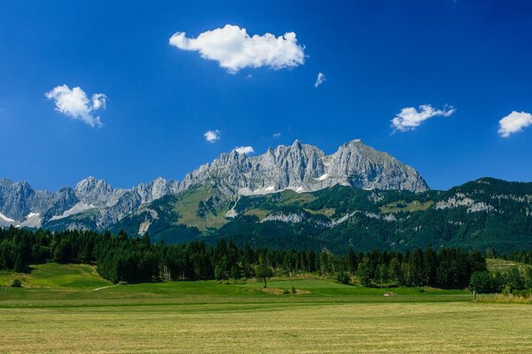 Vista de los Alpes, montañas y bosques