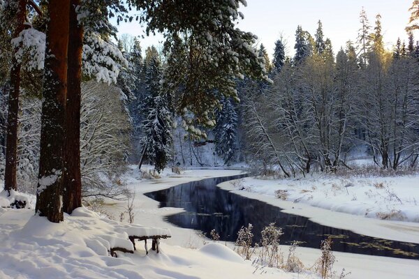 Winter river in a snow-covered forest