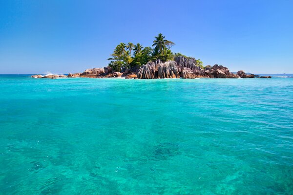 Isla en medio del océano felicidad