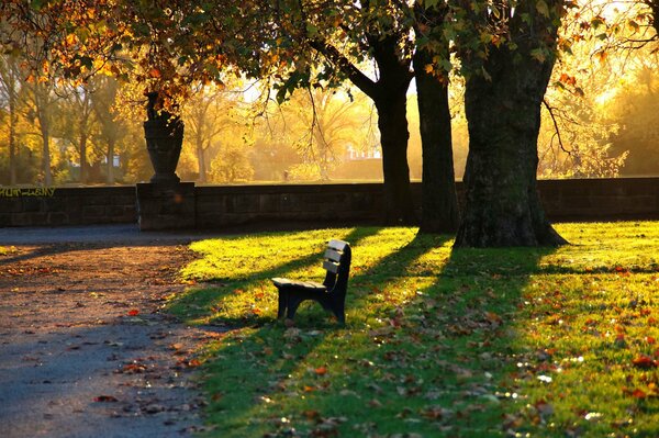 L automne dans le parc est si bon de s asseoir sur un banc