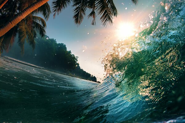 Vague de mer dans un paradis tropical