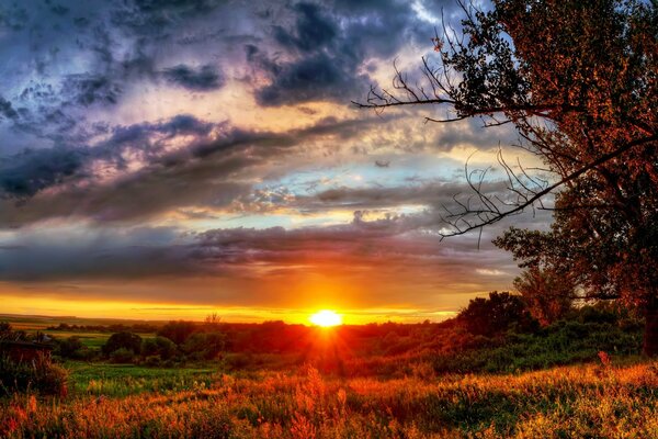 Coucher de soleil du soir dans la forêt