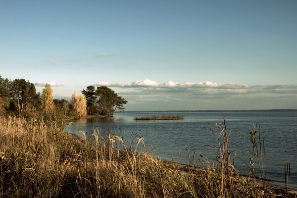 Autumn time. On the shore of the lake