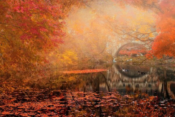 Paisaje de otoño con puente y río