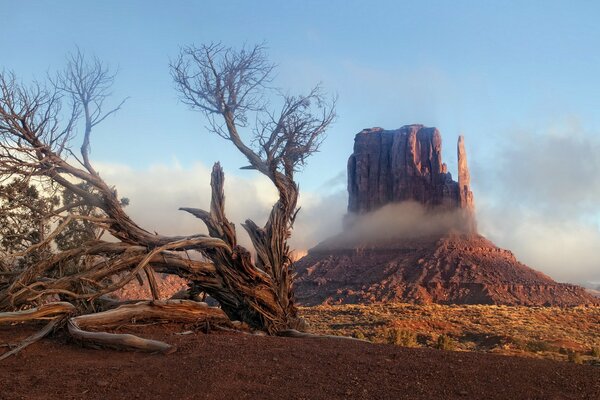 Valley landscape in Arizona nature