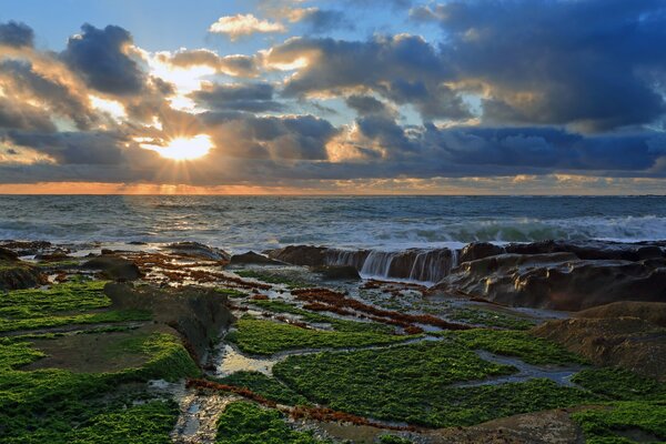 Côte de pierre du Pacifique au coucher du soleil