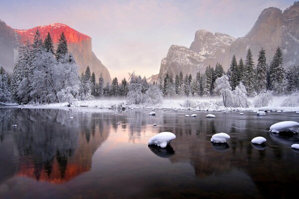 Spiegelbild des Winterwaldes auf dem Wasser