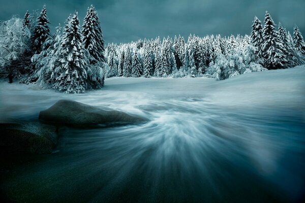 Magischer Winterwald in Schneewehen