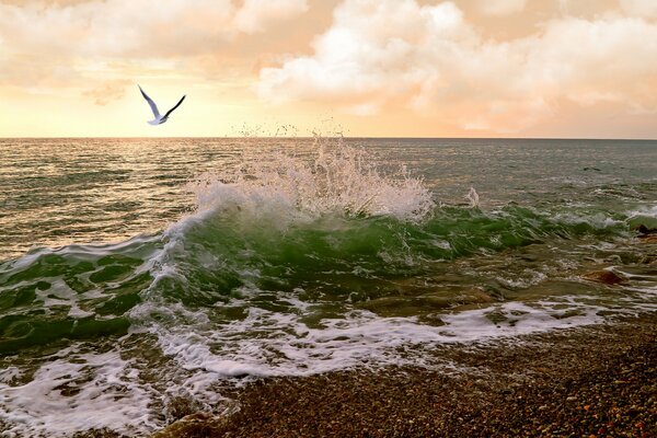 At sea, a seagull in the clouds