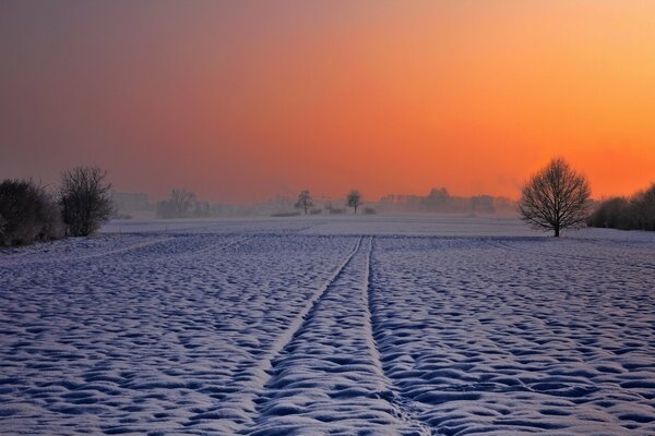 Winter Sonnenuntergang. Verschneite Ebene