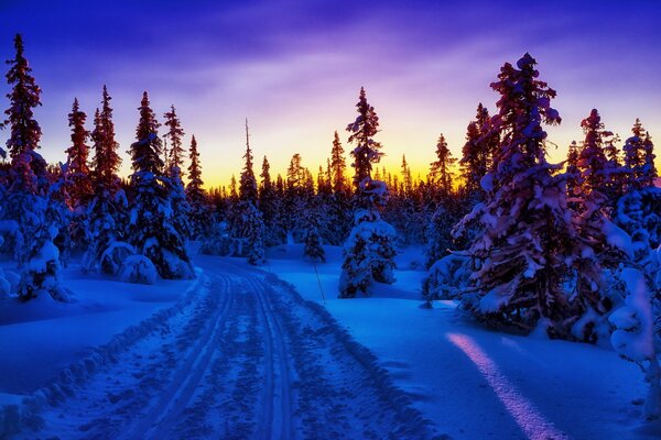 Strada invernale nella foresta di abeti rossi al tramonto