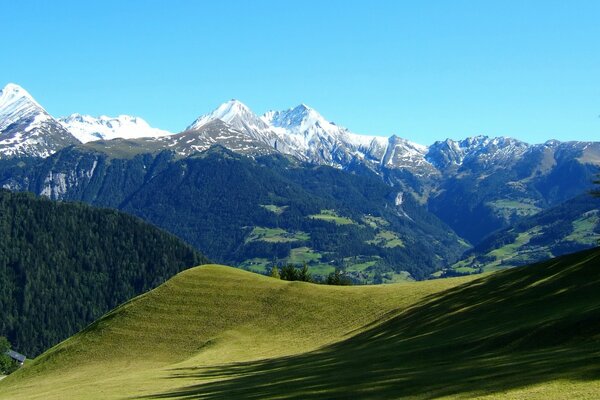 Green mountainside on a sunny day