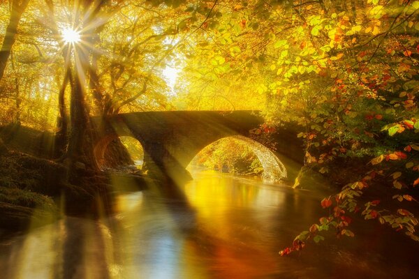 Brücke über den Fluss im Herbstwald