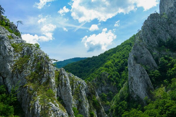 Landschaft blauer Himmel und hohe Berge