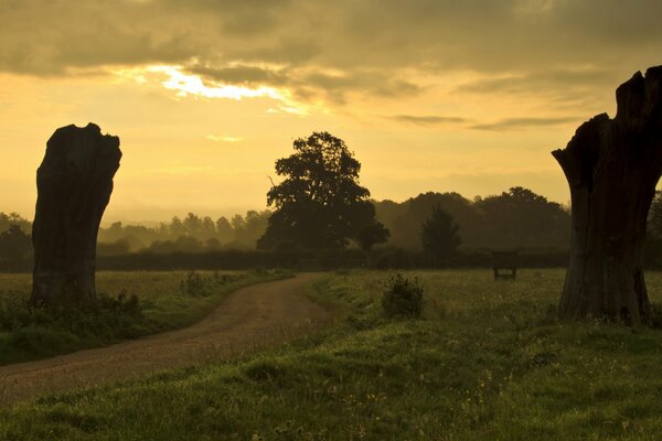 Sonnenuntergang im Feld. Landschaft mit Abendstraße