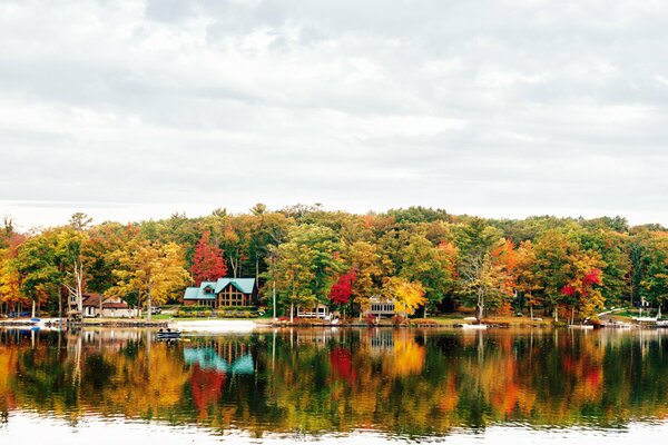 A lake in an autumn forest and a lonely house