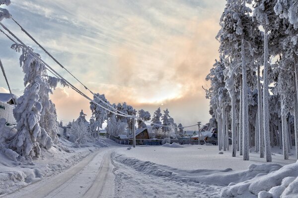 Frost und Sonne sind ein wunderbarer Tag