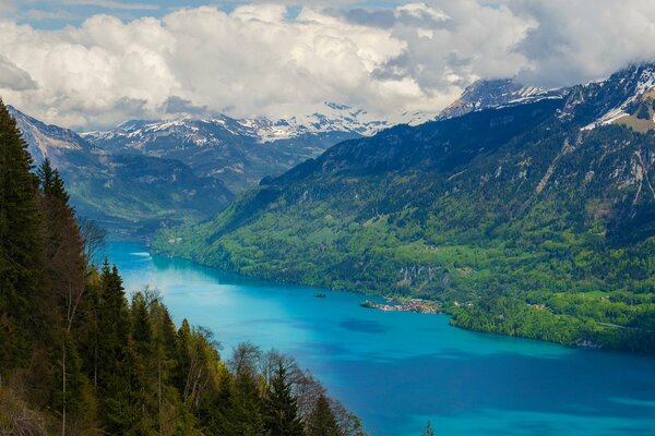 Rivière bleue le long des montagnes et des forêts