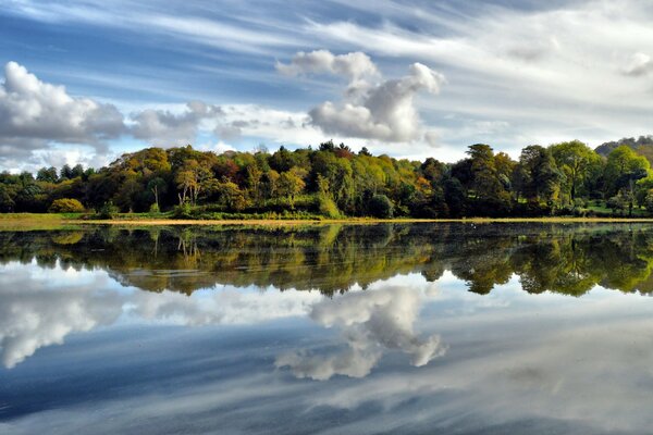 Bosque y nubes blancas flotantes que se reflejan en un lago limpio