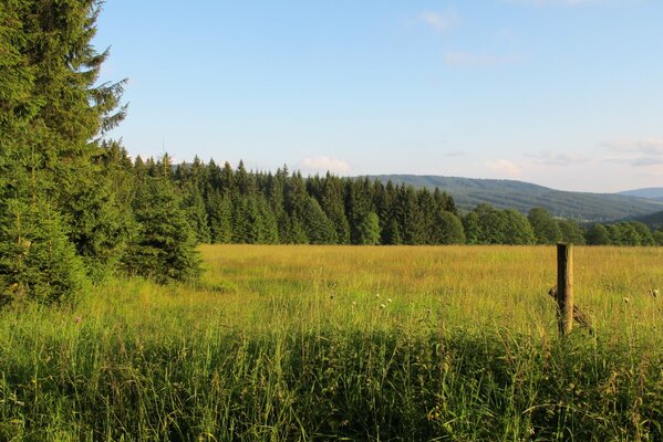 Forest and mountains , fields and sky