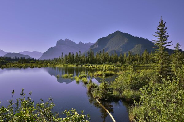 Die Landschaft ist lila, der See spiegelt den Himmel und die Berge wider