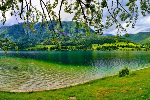 C era una volta in Slovenia in estate con alberi verdi e un lago limpido