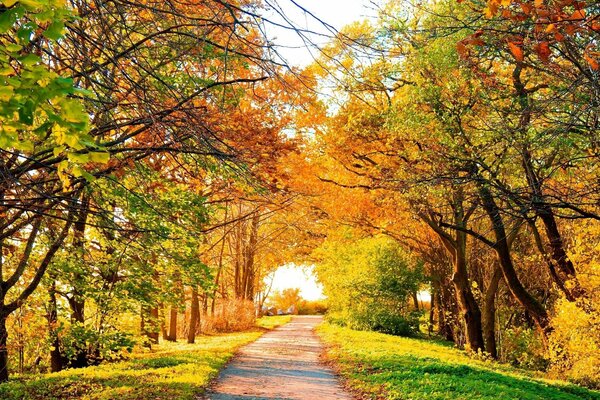 Herbstlandschaft, Herbstfarben