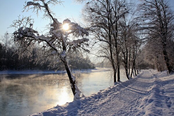 Route d hiver sur la rive du fleuve