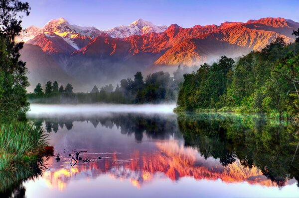 Alpes del sur, nueva Zelanda, parque nacional Westland, Alpes del sur, lago Matheson, glaciar Fox en el reflejo del lago cerca del bosque y las montañas